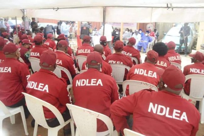 NDLEA Recruitment